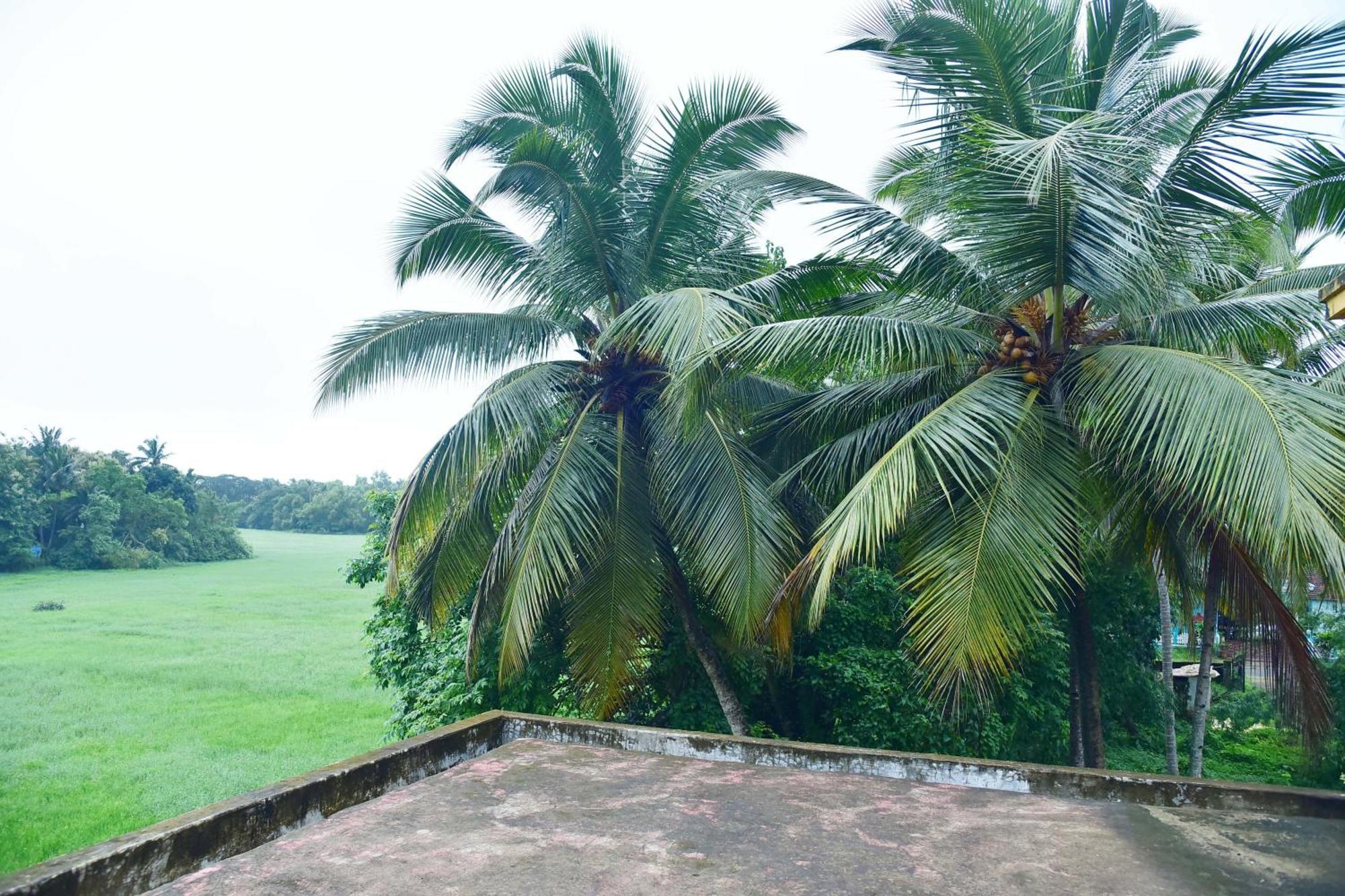 Field Stone -3 Bhk Duplex Villa Talaulim Esterno foto